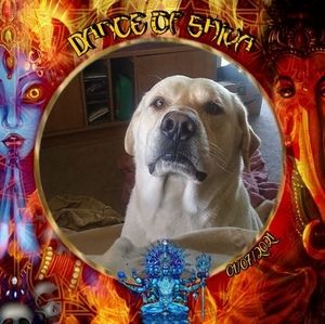 Meet your Posher, Douglas